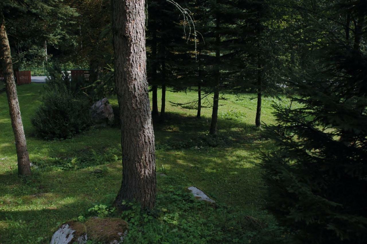Orli Hnizdo Villa Cerny Dul Bagian luar foto